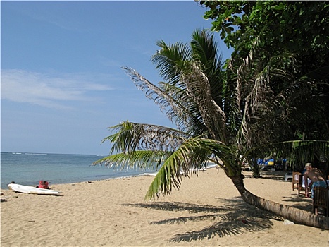 chốt dàn đặc biệt
