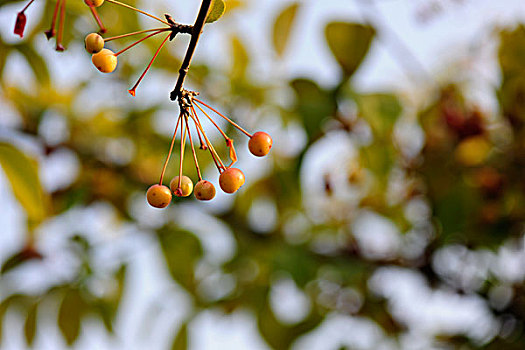 xsmb thu ba hang tuan