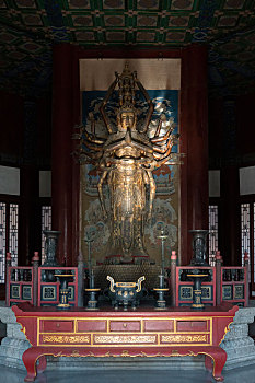soi cau 586