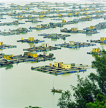 thong ke soi cau mb