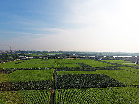 lô gan miền bắc hôm nay