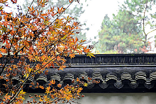 xổ số miền