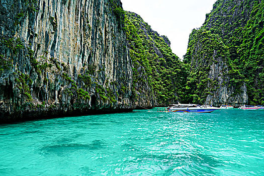 soi cau bach thu xo so mien bac