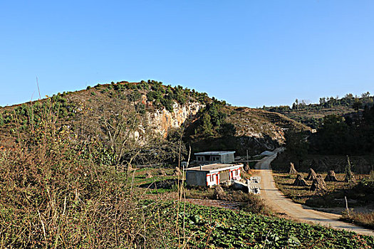 chốt số 366