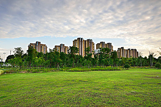 cầu lô miền nam
