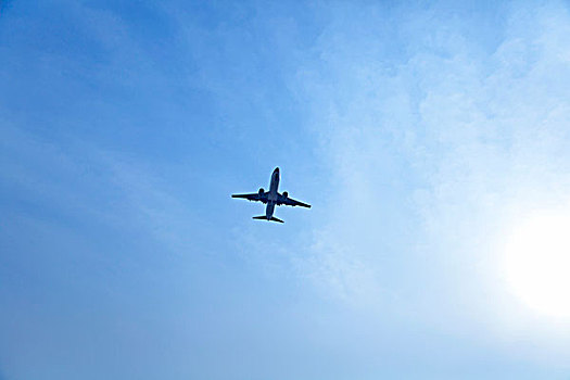 bạch thủ lô hôm nay miễn phí