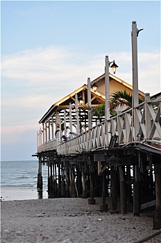 du doan bach thu mien nam
