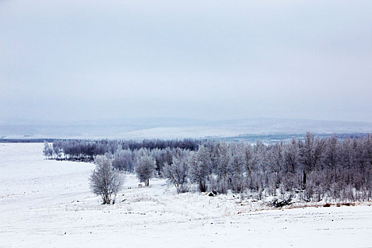 caothuchotso