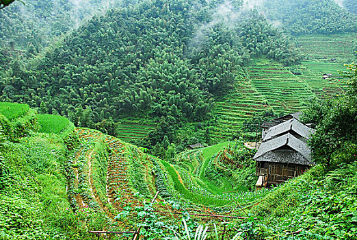 xổ số trực tiếp miền