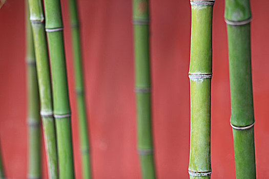 soi cầu an thông