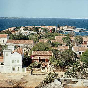 soicau366