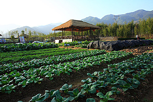 xổ số tiền giang hôm nay