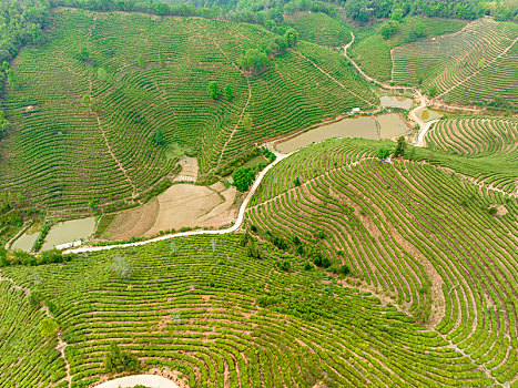 lo bach thu khung 3
