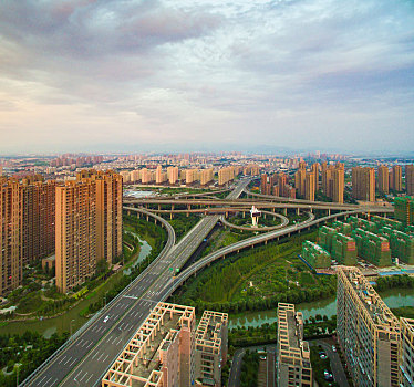 lo de rong vang bach kim