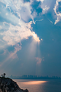 bạch thủ miền bắc