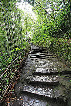 bach thu mien bac hom nay
