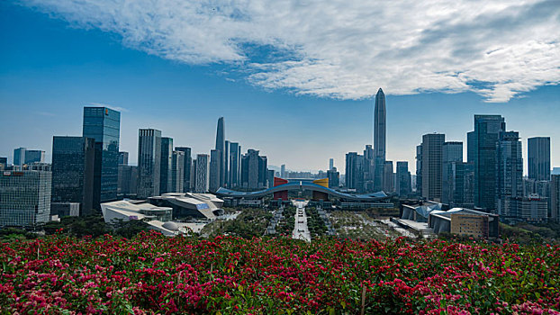 soi bạch thủ lô