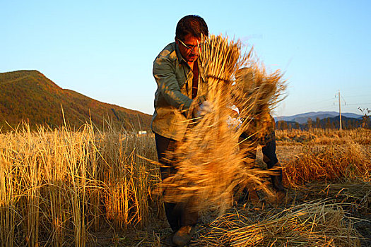 lô chuẩn miền bắc