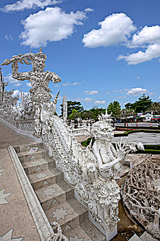 soi cau lo bach thu khung 3 ngay
