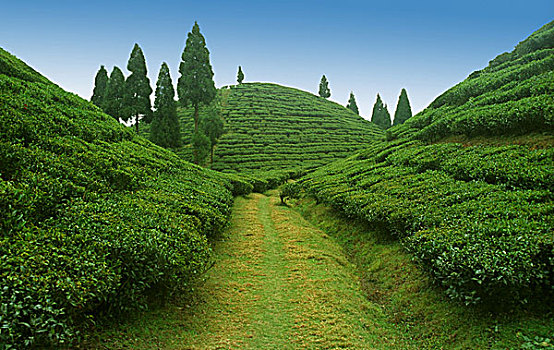 xổ số mien bac