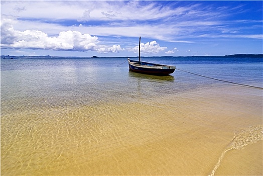 xs binhdinh