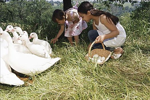xổ số miền bắc chủ nhật