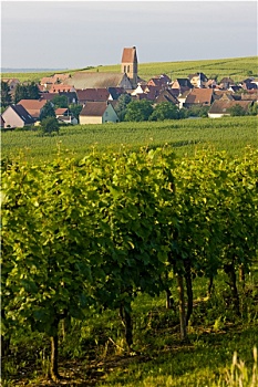 lo đe 88