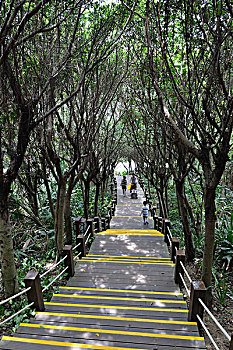 gà đá người ta