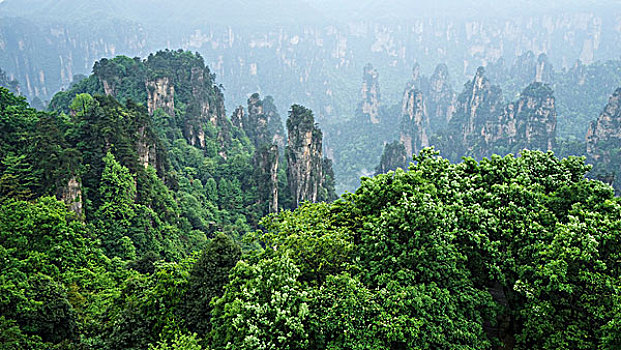du doan xsct sieu chuan