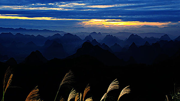 rong bach kim soi cau lo de