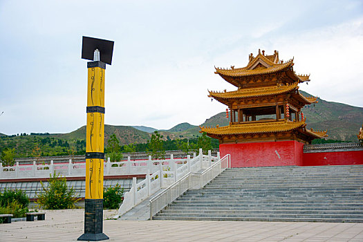 rong bạch kim 888