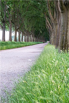 hoi lo de