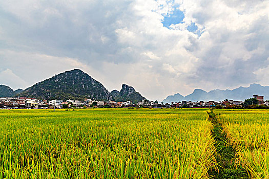 cách mở tài khoản bong88