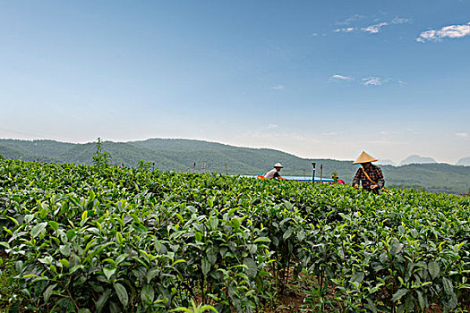 chơi đề
