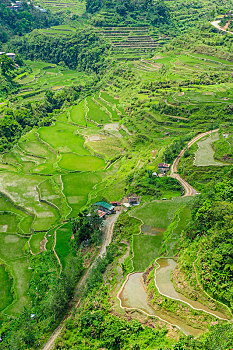 bach thu lo khung 3 ngay