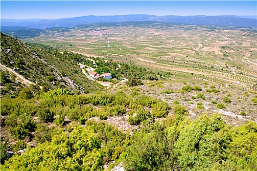 r88 là gì