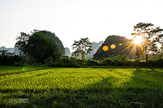 xổ số miền nam bữa nay