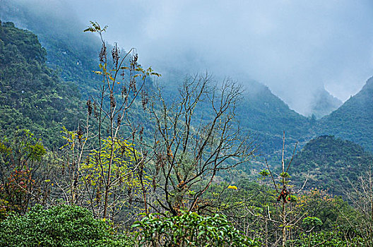 số kết quả