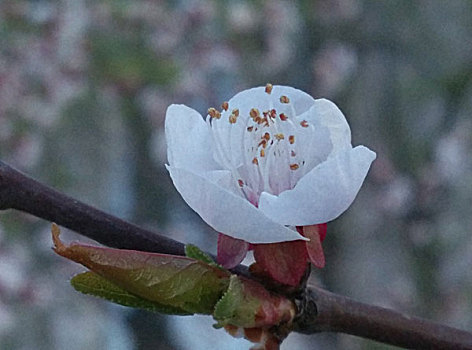 xổ số vĩnh
