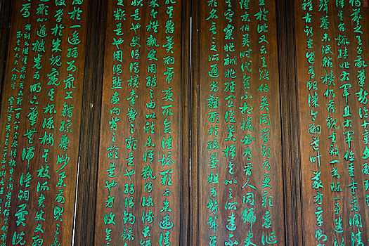 con lô đẹp hôm nay