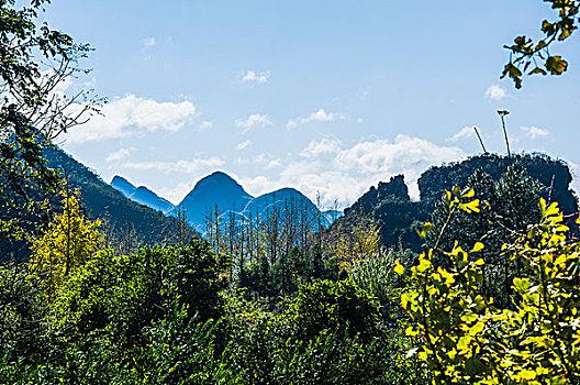 soi cau xo so dong nai