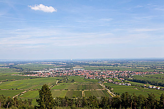 lô bạch thủ