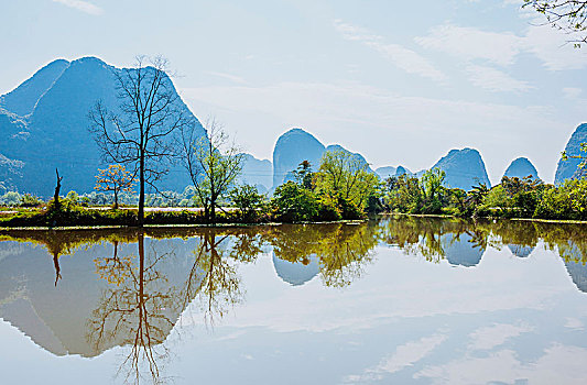 thống kê rongbachkim