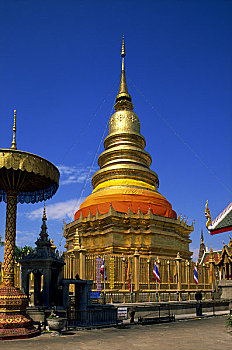 w88 cá cược