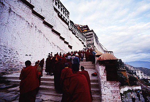 cau bach thu hom nay