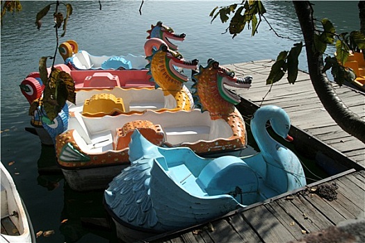 cầu bạch thủ 247