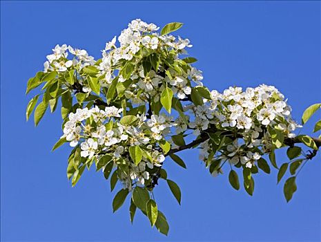 cái số đề