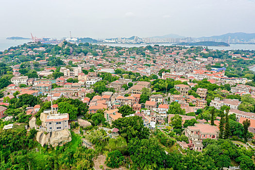 soi rong bạch kim