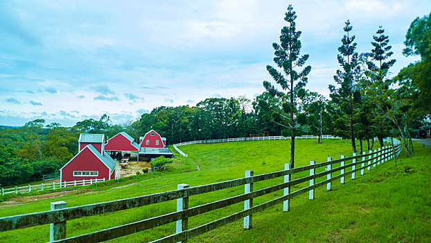 cách chơi lô đề trên mạng