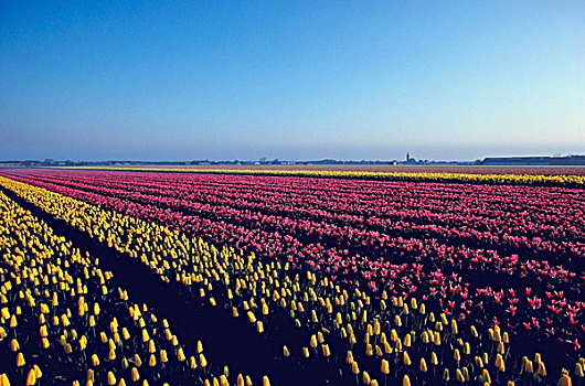 du doan xsmb chinh xac